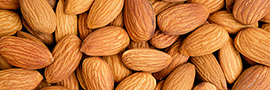 Amandes décortiquées natures