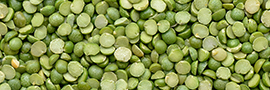 Pois cassés