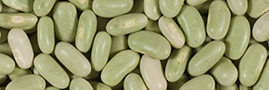 Flageolets