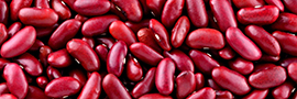 Haricot rouge