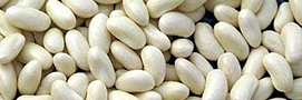 Mogette de vendée