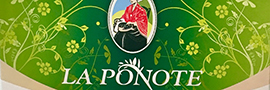 Lentille verte du Puy