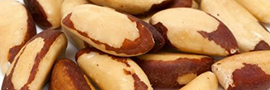 Noix du Brésil