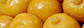 Citron en saumure