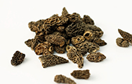 Morilles spéciales séchées