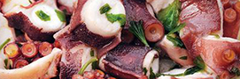 Salade de Poulpe