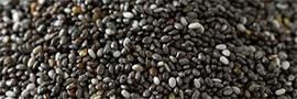 Graine de chia biologique