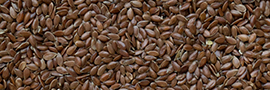 Graines de Lin Brun Bio
